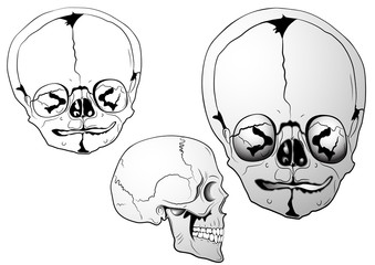 various bizarre skulls - vector