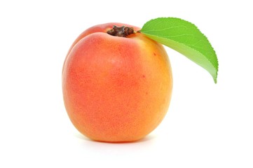 Aprikose