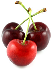 cerises rouges, fond blanc