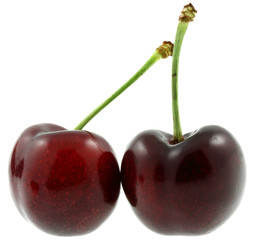 duo de cerises, fond blanc