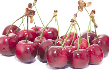 cherry