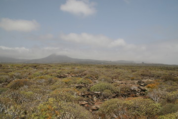 Fototapeta na wymiar Krajobraz w Lanzarote