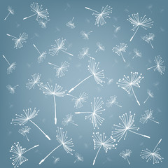 Obraz premium Seamless with dandelion seeds