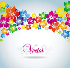 Hibiscus. Colorful background.