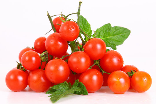 tomaten-coctailtomaten