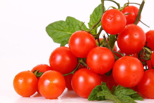 coctailtomaten,tomaten