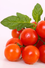 tomaten,coctailtomaten