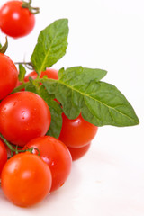 tomaten