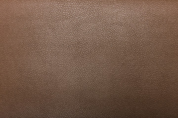 High resolution texture. Background. Skin.