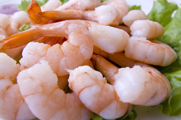 Shrimps close-up with salad on plate