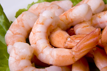 Shrimps close-up with salad on plate