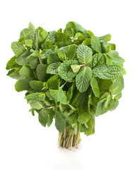 Spearmint herb