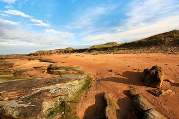 Fototapeta na wymiar Cambo Piaski, Plaża w Fife, Szkocja