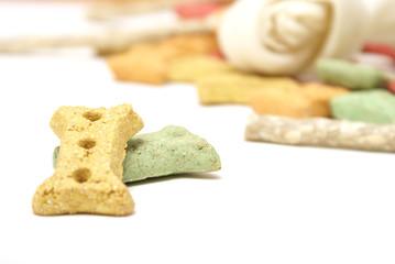 Dog Treats