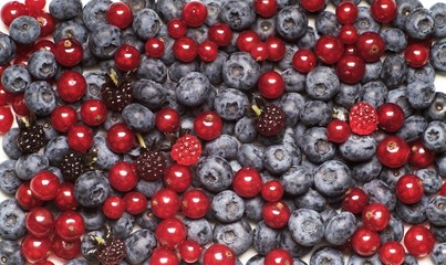 Berry fruit