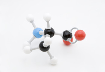 Alanine Amino Acid Molecule