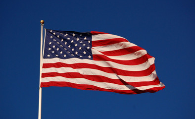 Fototapeta premium American flag