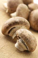 Mushrooms close-up