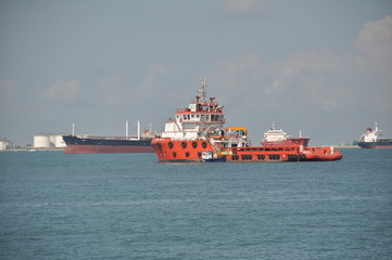 Fototapeta premium cargo ship in the open sea