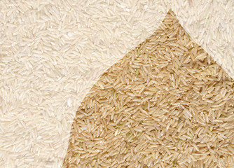 Long grain rice
