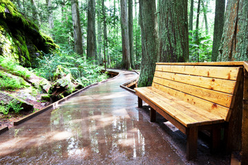 Fototapeta premium Boardwalk