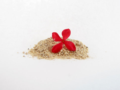 Ixora flower on sand