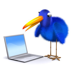 3d Blue bird with laptop
