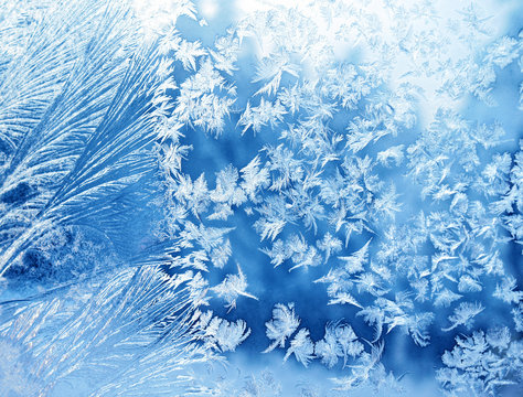 Eisblumen