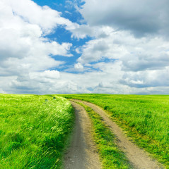 Fototapeta na wymiar Summer landscape with green grass, road and clouds