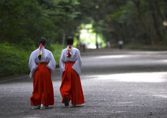 Fototapeta premium 巫女