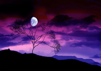 The full bright moon.