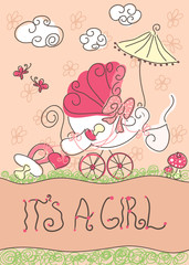 baby girl announcement card