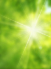 バックグラウンド