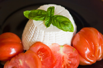 Basil, ricotta and tomatoes
