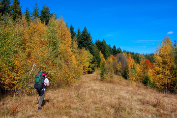 Fototapeta premium hiker in autumn