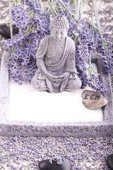 Buddha bei Zen Meditation,  Massage Steine, Lavendel