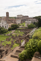 Fototapeta na wymiar Roman Forum, Roma
