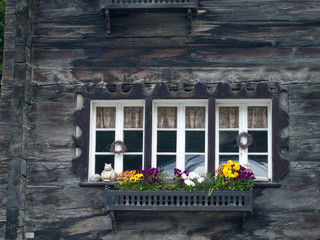 Fototapeta na wymiar Fenster-Still-Leben