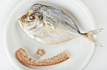 Salted moonfish with crust of bread on white plate