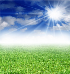 Fototapeta na wymiar tło trawnik i błękitne niebo