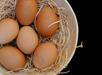 Bowl with organic brown eggs in hay, on black