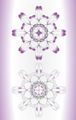 Swirl elements and monograms for design and decorate.