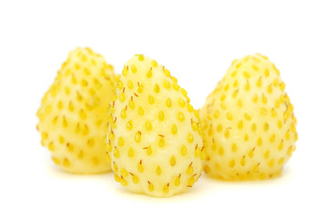 White Wild Strawberries