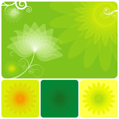 Abstract Green floral background of summer.