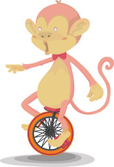 A Monkey Doing Cycling