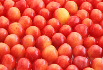 Sweet cherry