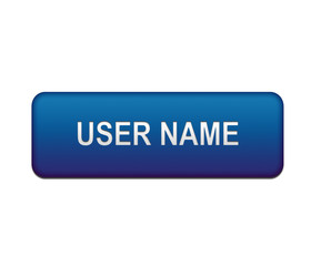 Boton azul USER NAME con textura