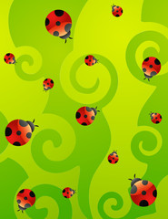 Red ladybirds on a green background