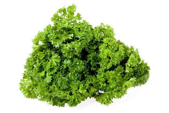 bunch of the parsley
