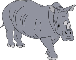 vector - big rhino isolated on background
